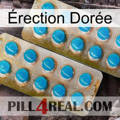 Érection Dorée new08